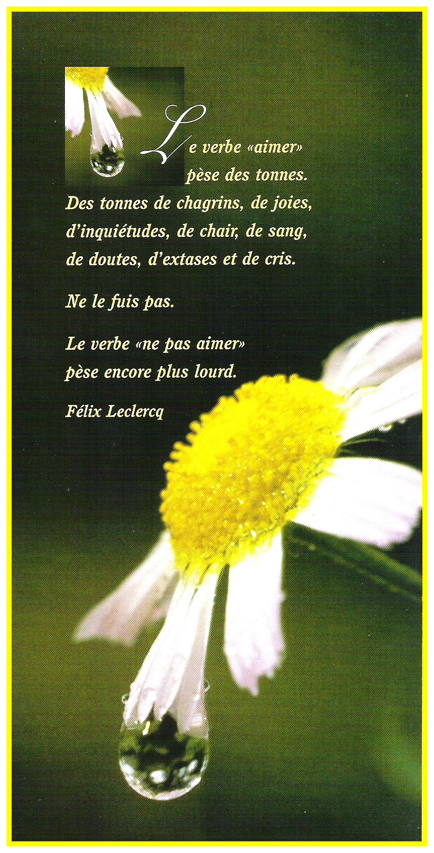 citations d amour en image